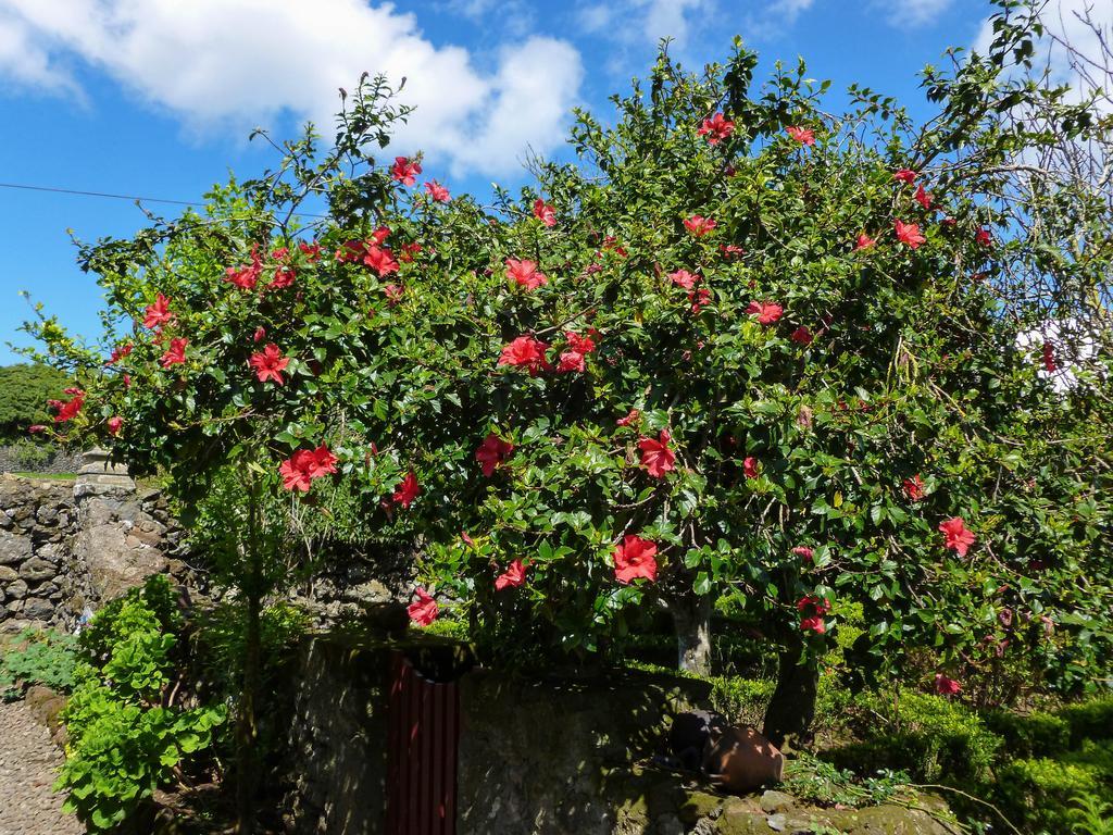 Hostal Quinta do Espírito Santo Angra do Heroísmo Exterior foto