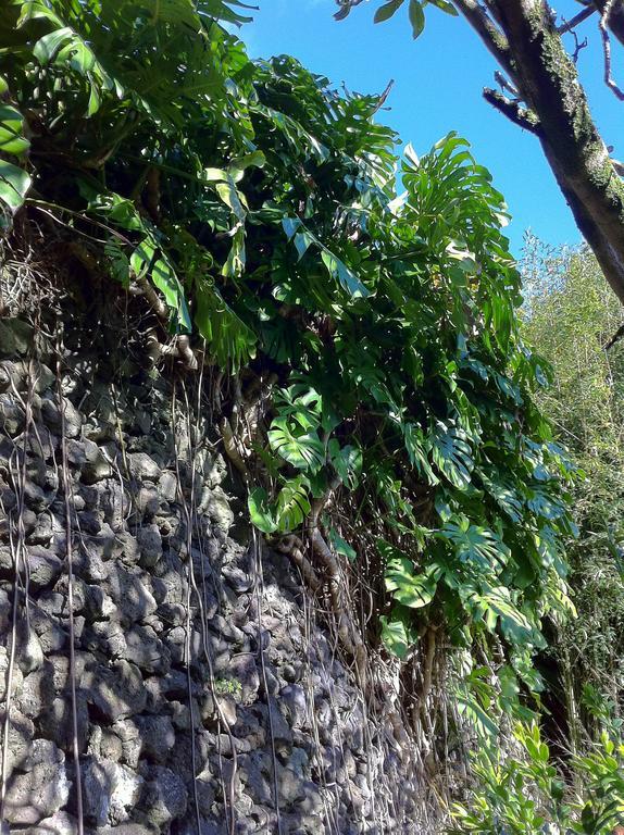 Hostal Quinta do Espírito Santo Angra do Heroísmo Exterior foto